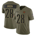 W.Commanders #28 Darrell Green Player  Olive Salute To Service Limited Football Jerseys